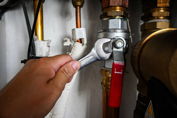 Best Drain Cleaning Services  in Fkville, AL
